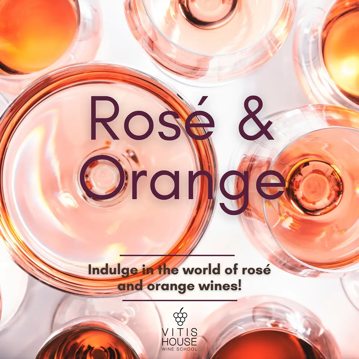 vitis house rose and orange