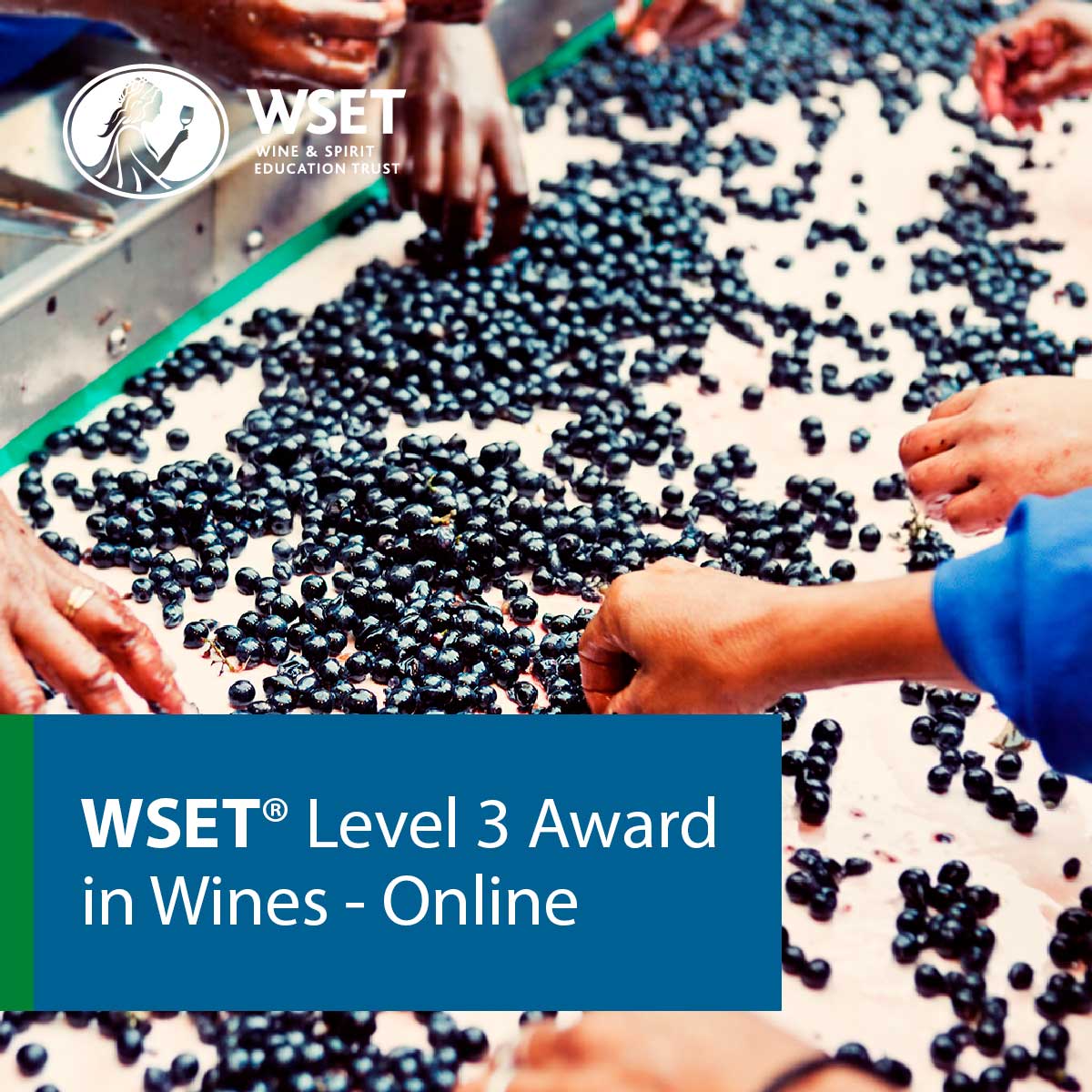 WSET® Level 3 Award in Wines - ONLINE