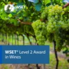 WSET® Level 2 Award in Wines