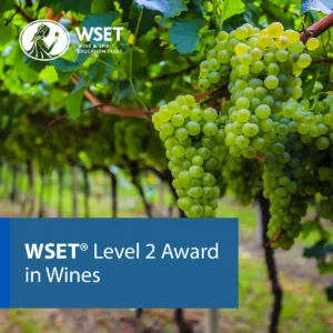 vitis house wset level 2 award in wines