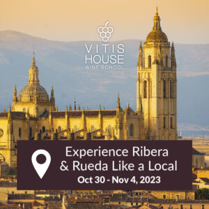 Vitisn House Taste Ribera and Rueda Like a Local