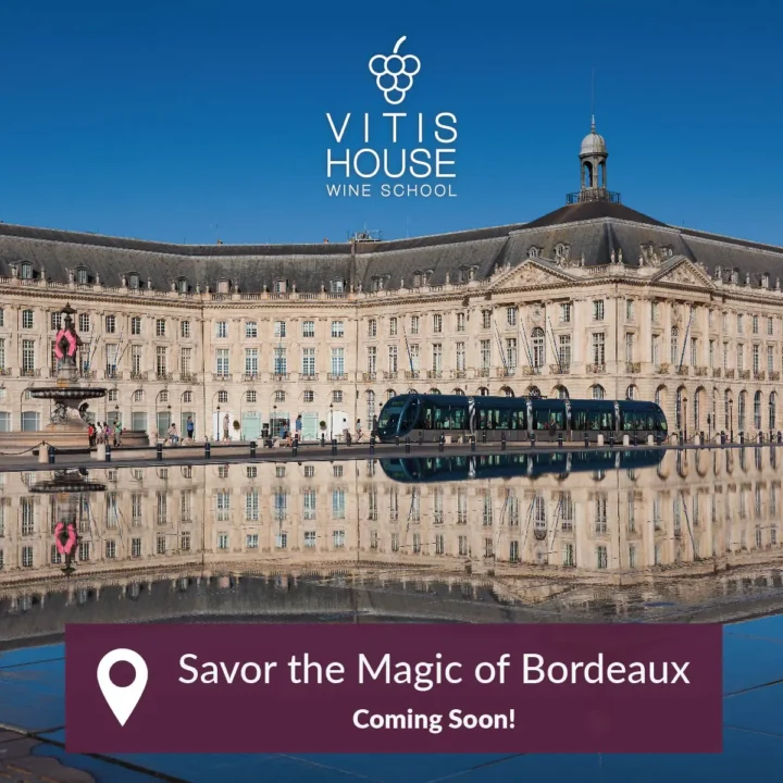 Vitis House Savor The Magic of Bordeaux