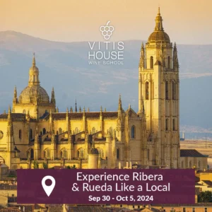 Vitis House Taste Ribera and Rueda Like a Local