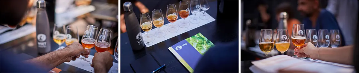 vitis house news from wset