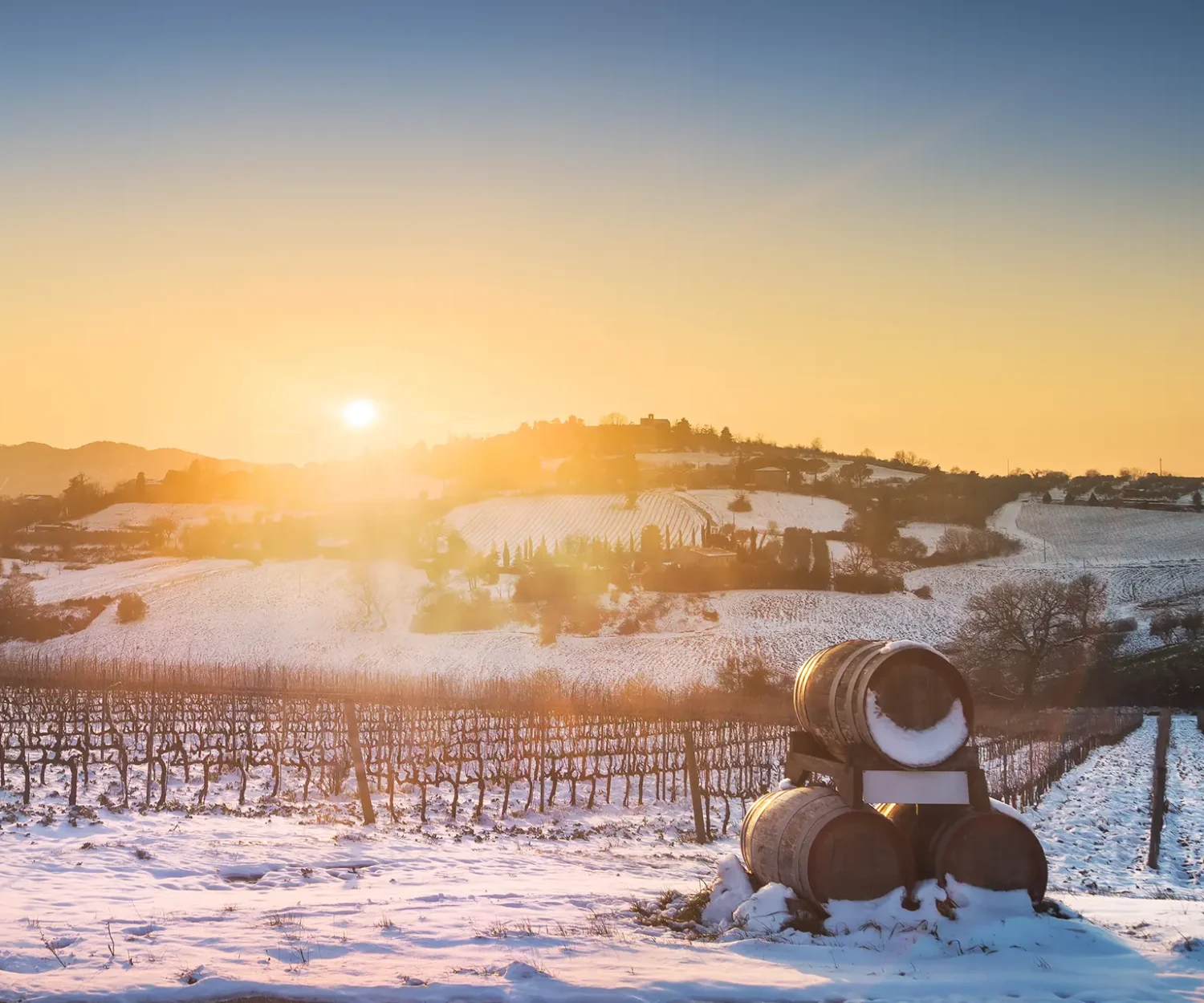 vitis house lets commit to an almost dry january