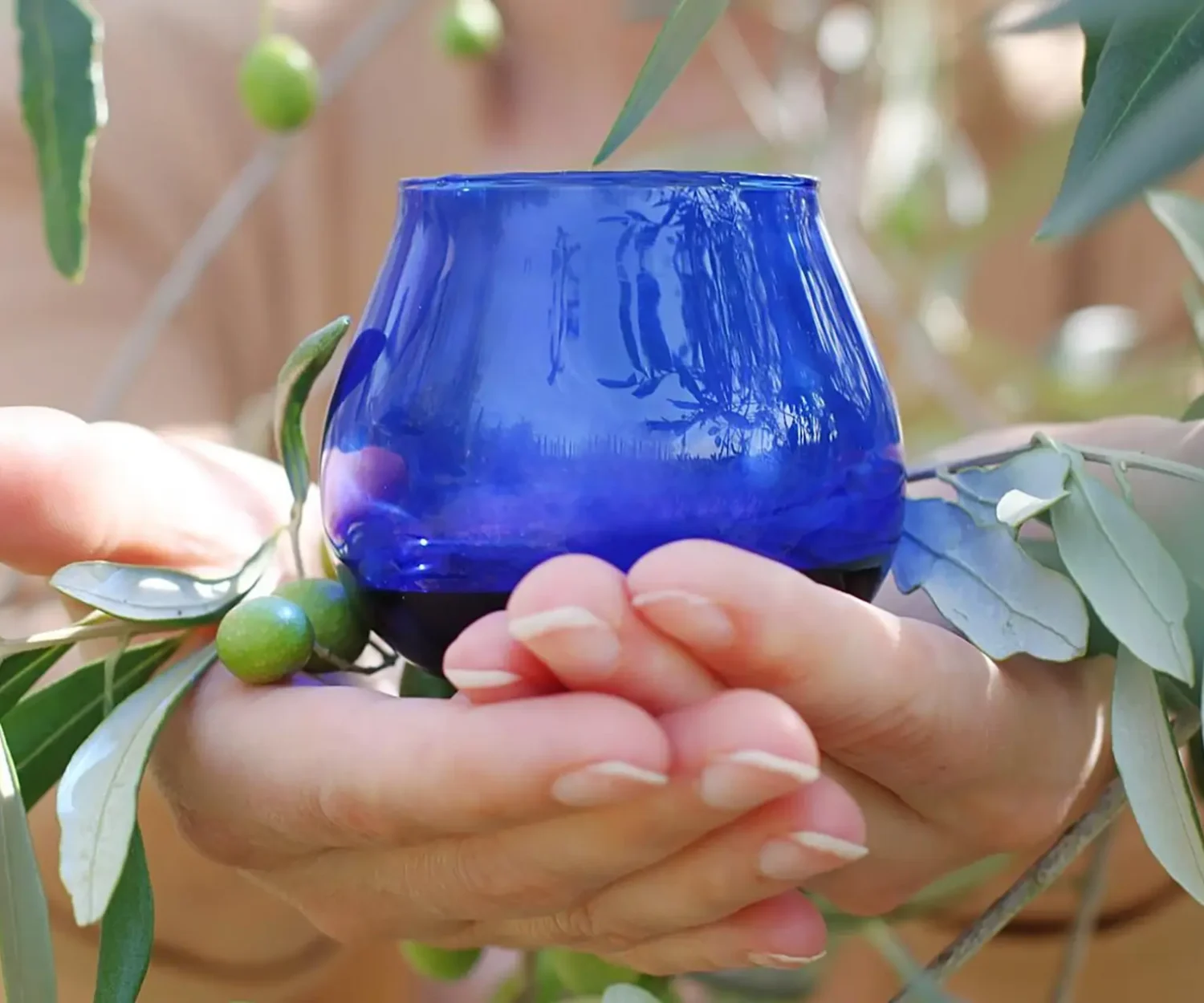 vitis house 10 things you need to know about extra virgin olive oil