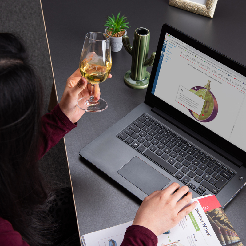 WSET® Level 1 in Wines ONLINE - Image 2