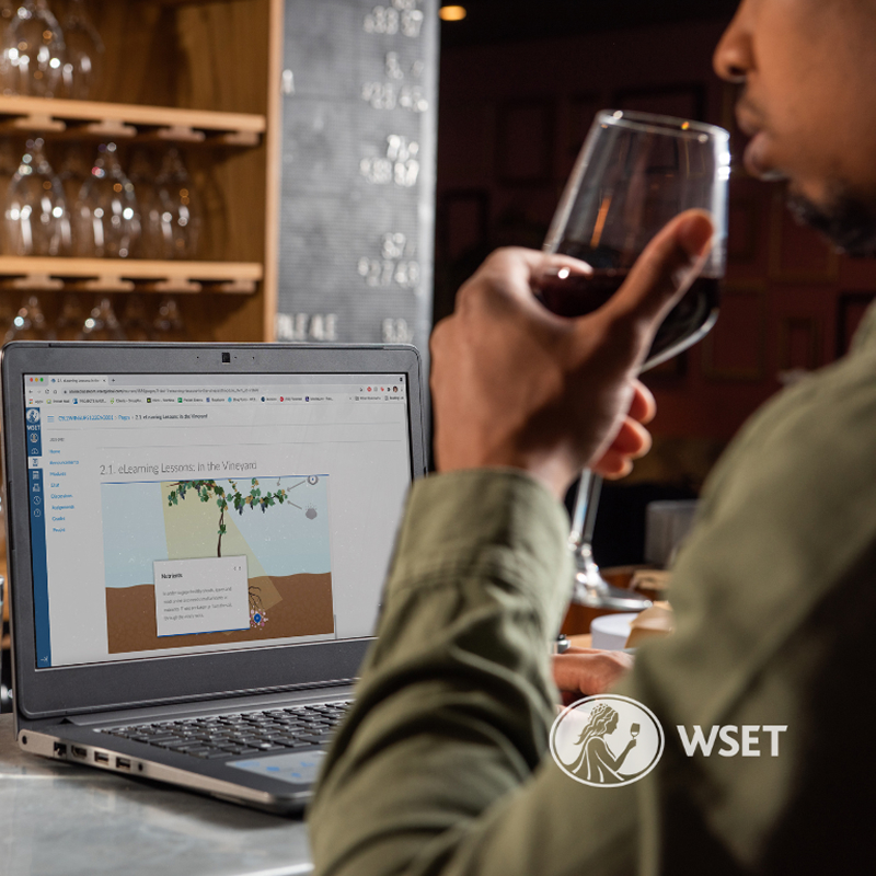WSET® Level 3 in Wines ONLINE - Image 3