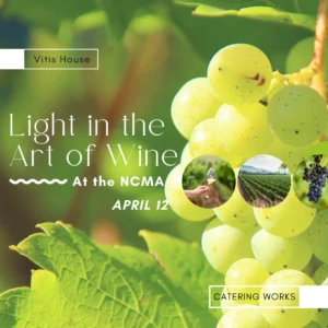 vitis house lights in the art and wine