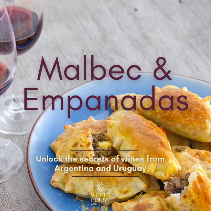vitis house malbec and empanadas