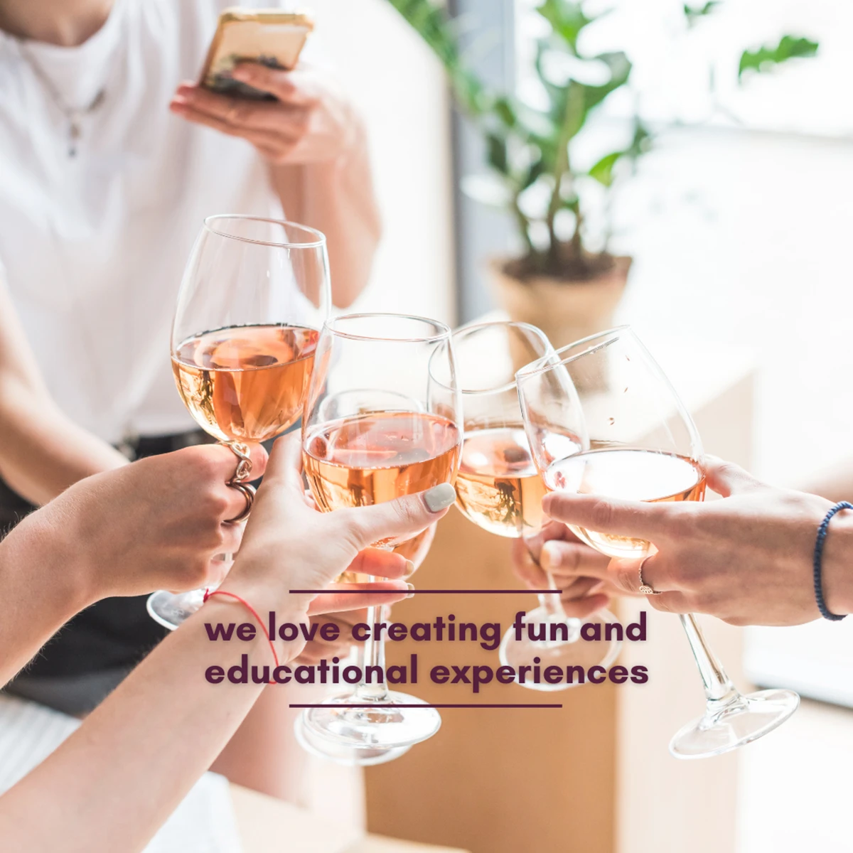 vitis house wine classes