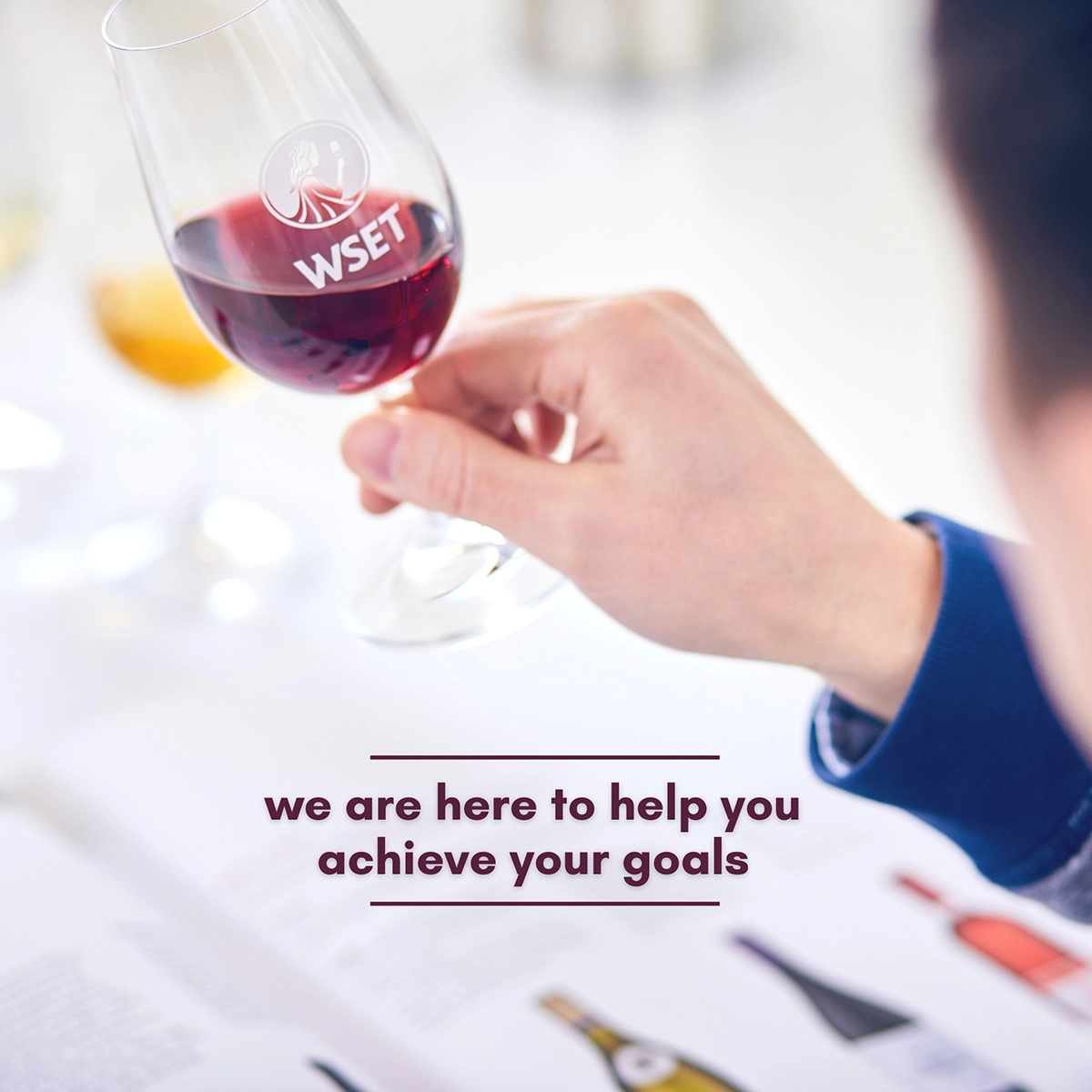 vitis house wset