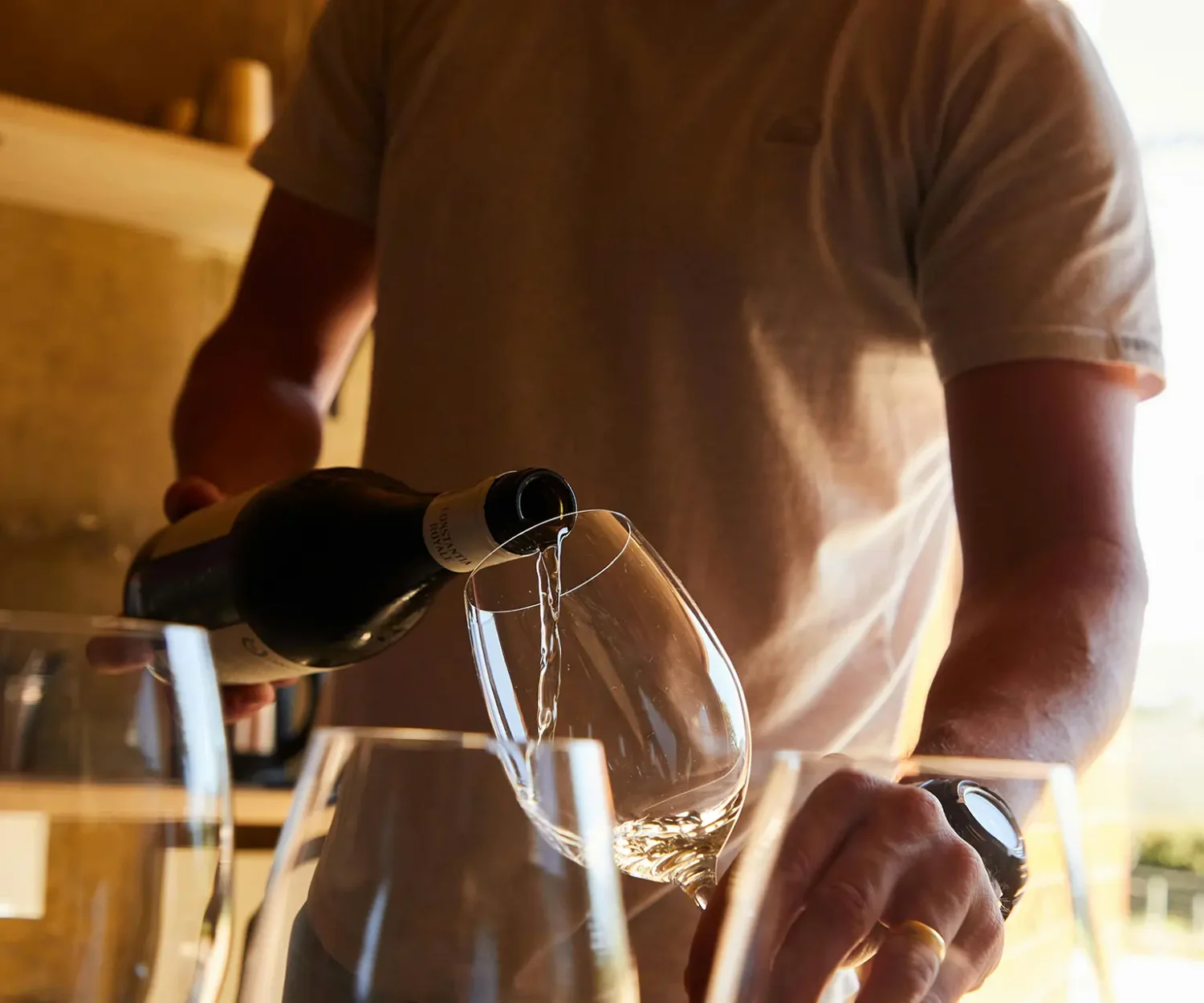 Vitis House The Ultimate Temperature Guide