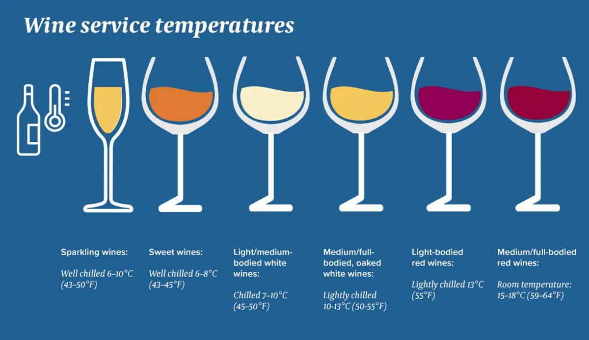 Vitis House The Ultimate Temperature Guide