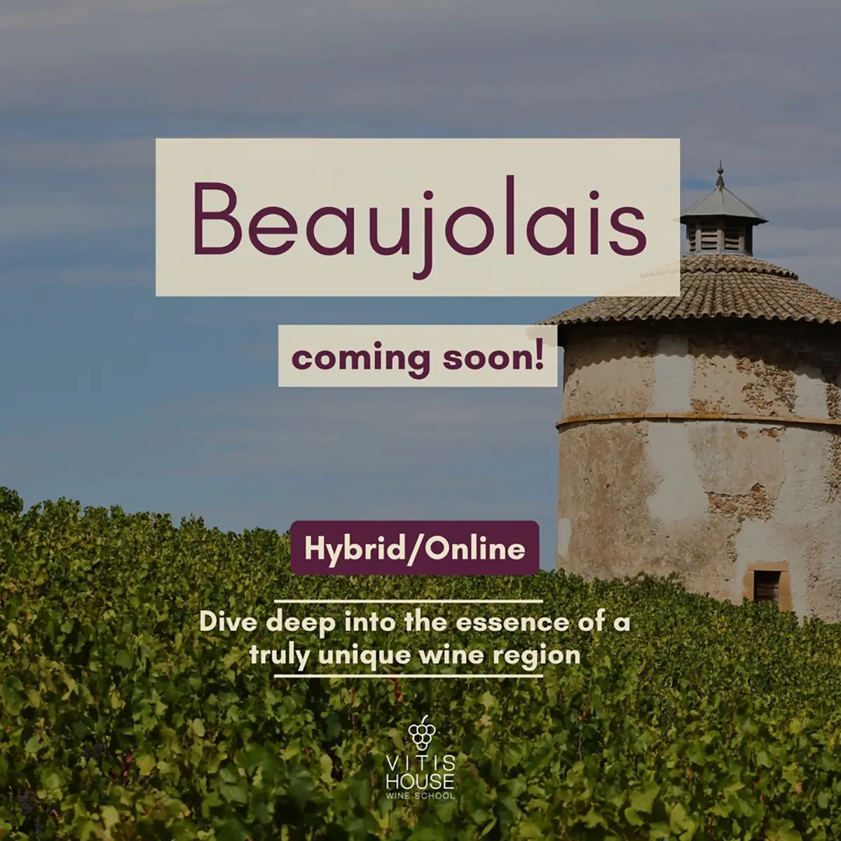 vitis house beaujolais