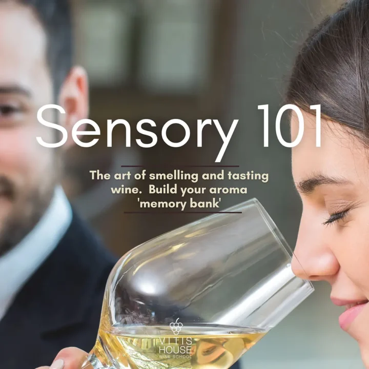 vitis house sensory