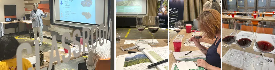 vitis house wset level 3 in wines