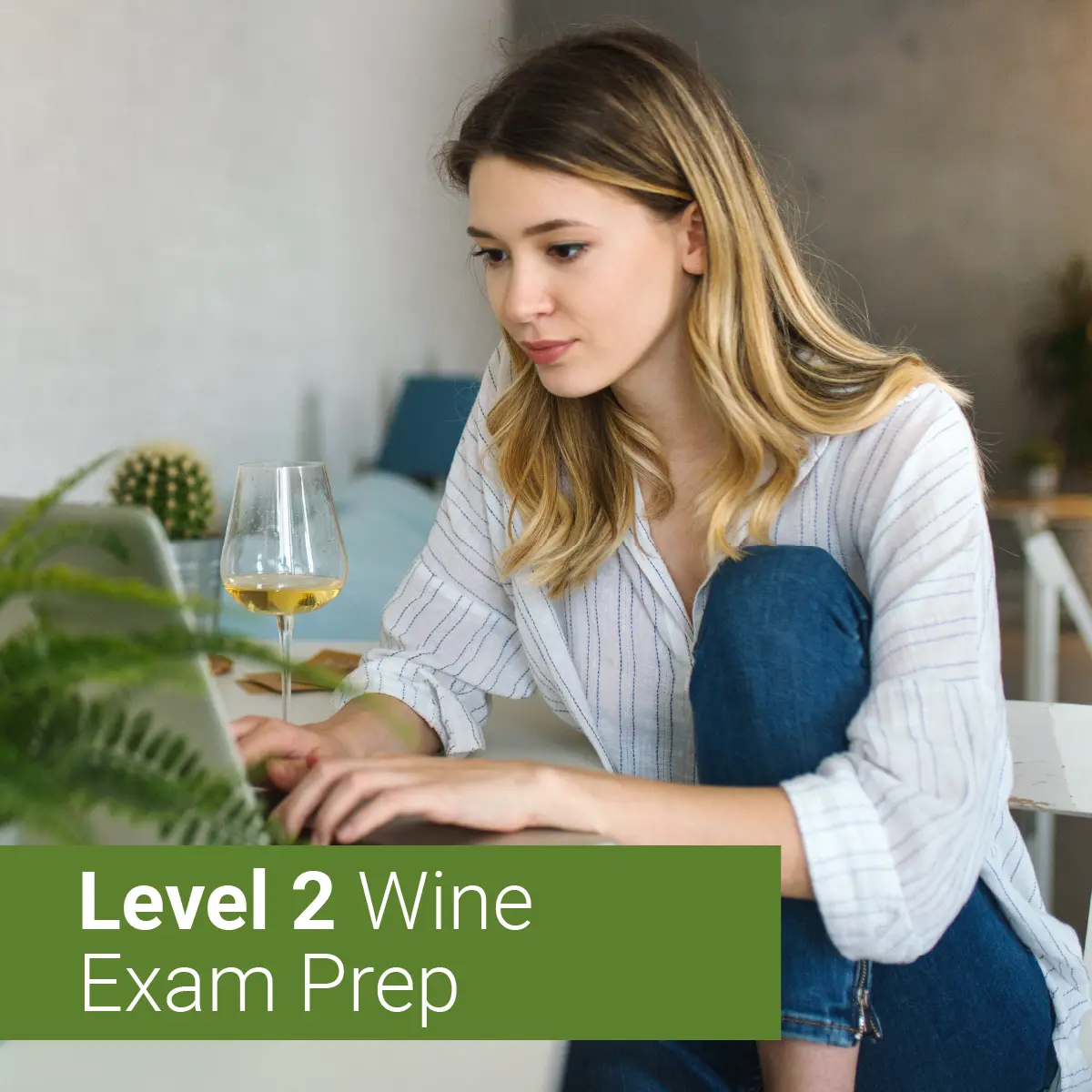 Level 2 wine exam prep - vitis house