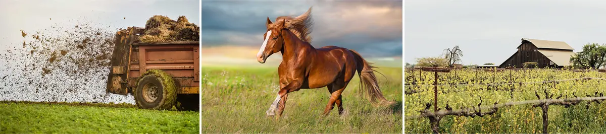 vitis house whats this funky flavor