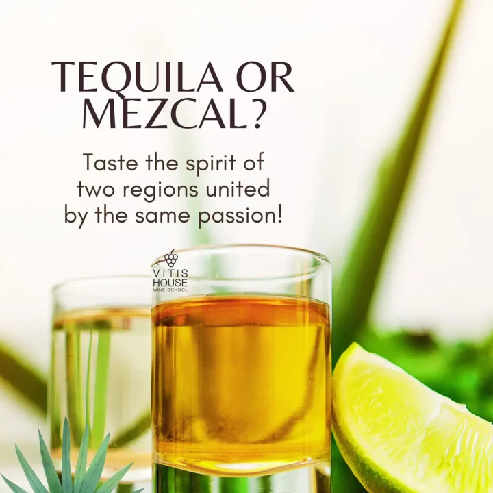 vitis house tequila o mezcal