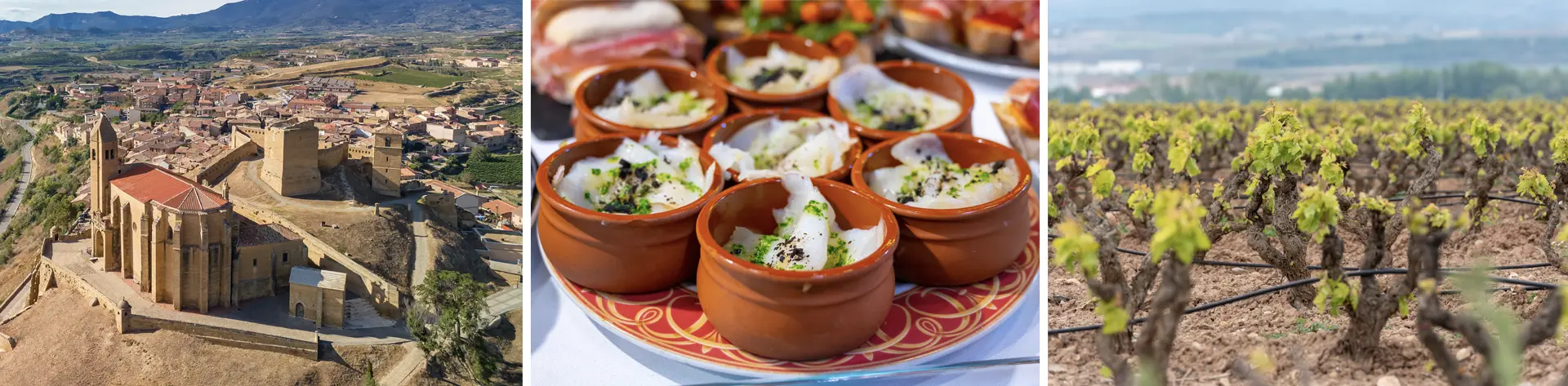 vitis house rioja and txakoli