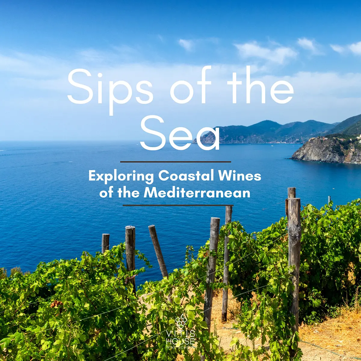 vitis house sips of the sea