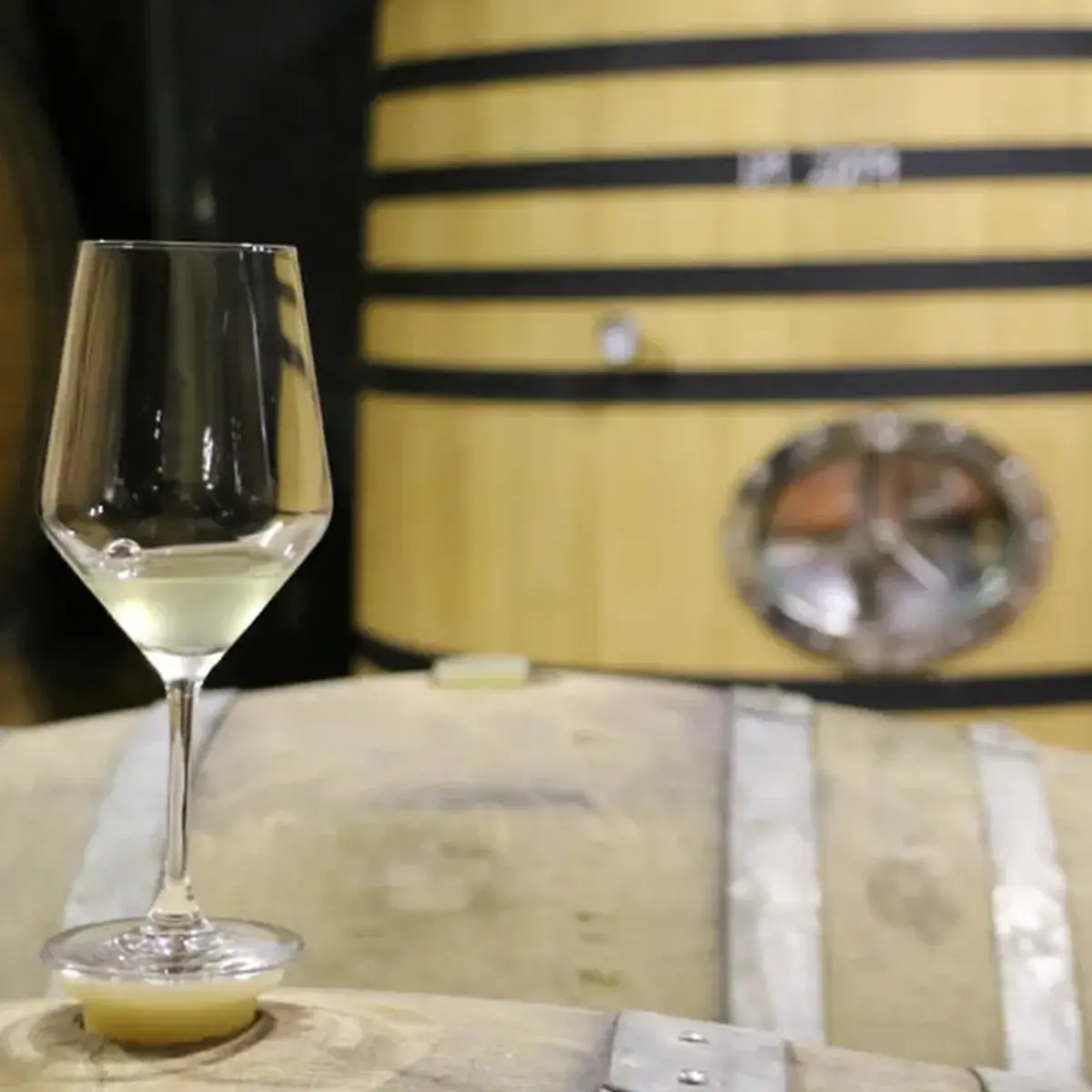 vitis house taste ribera rueda like a local