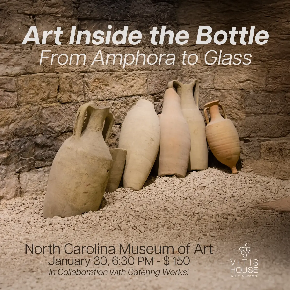 vitis house a portrait of wine