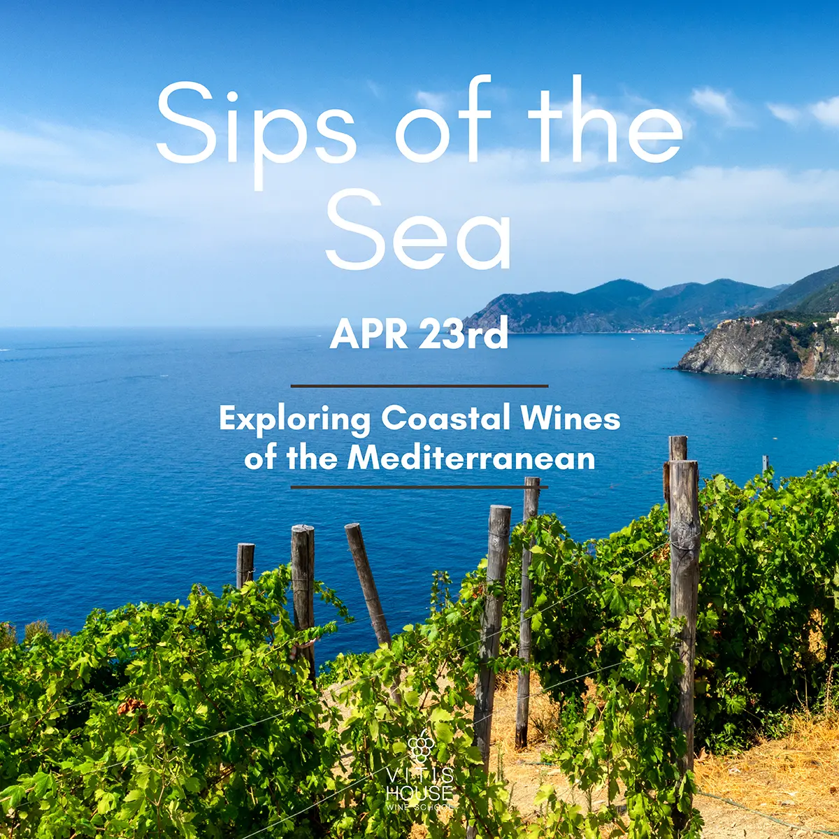 vitis house sips of the sea