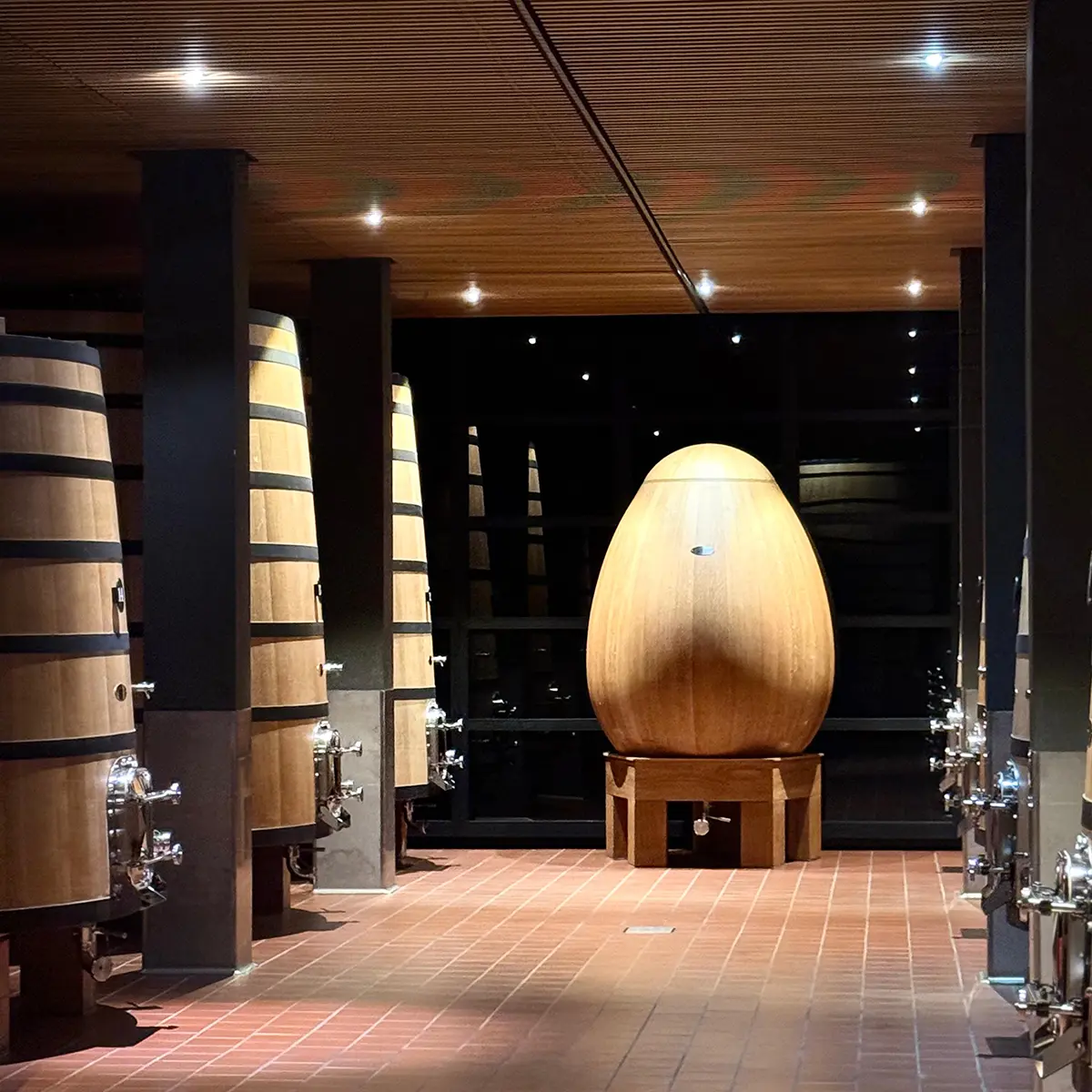 vitis house taste ribera rueda like a local