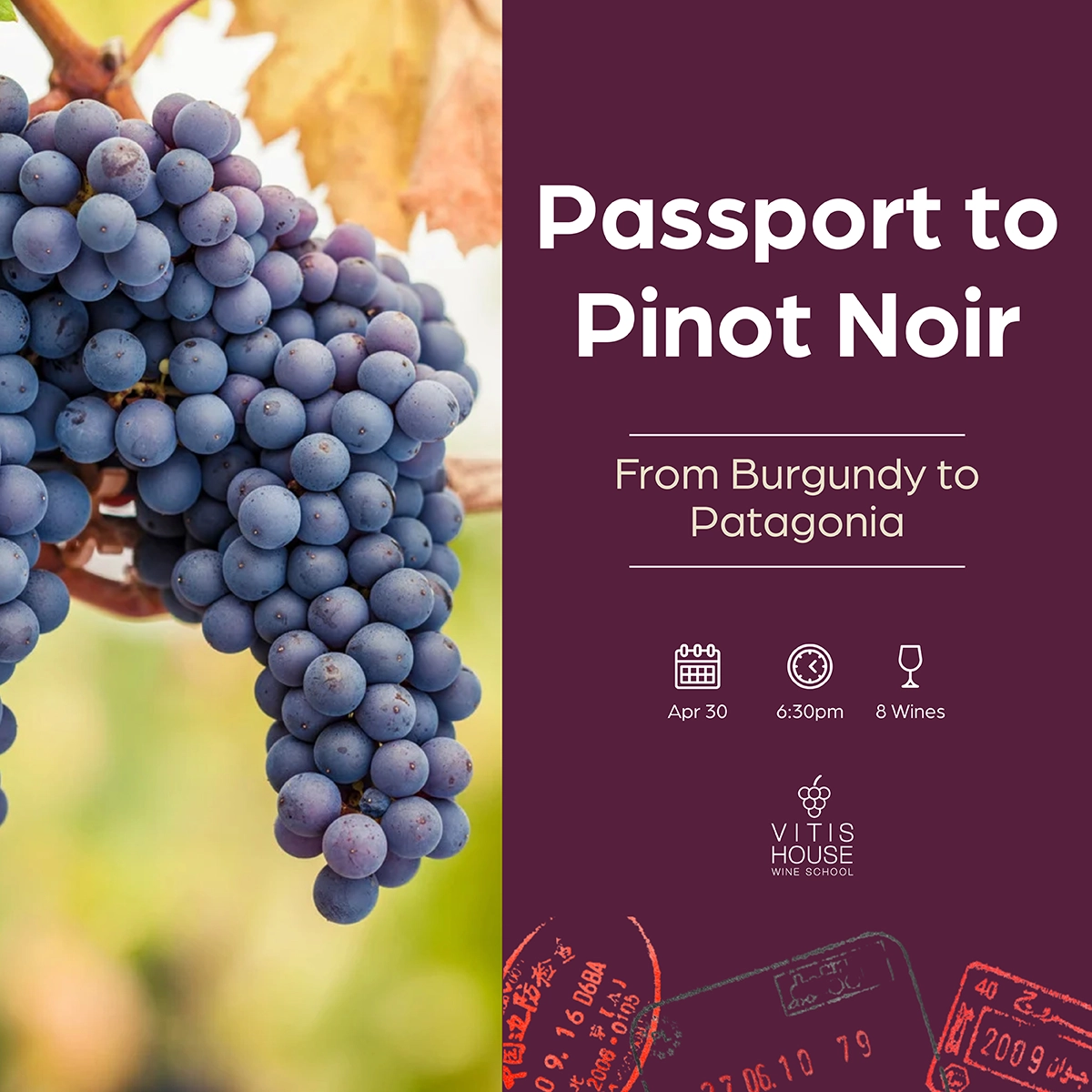 vitis house passport to pinot noir