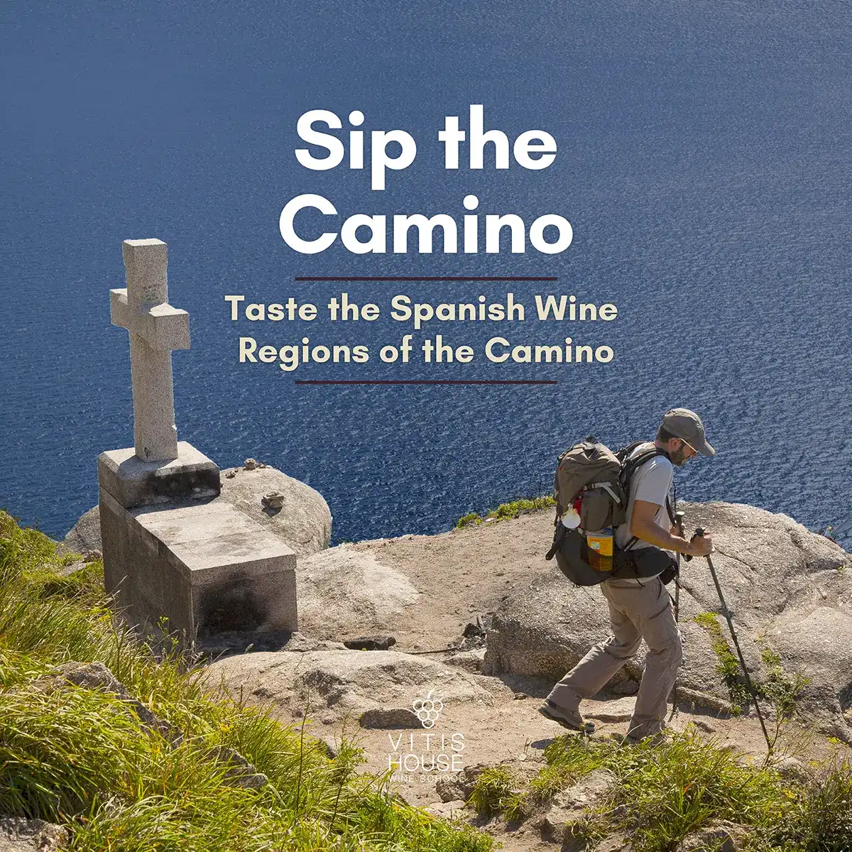 vitis house sip the camino