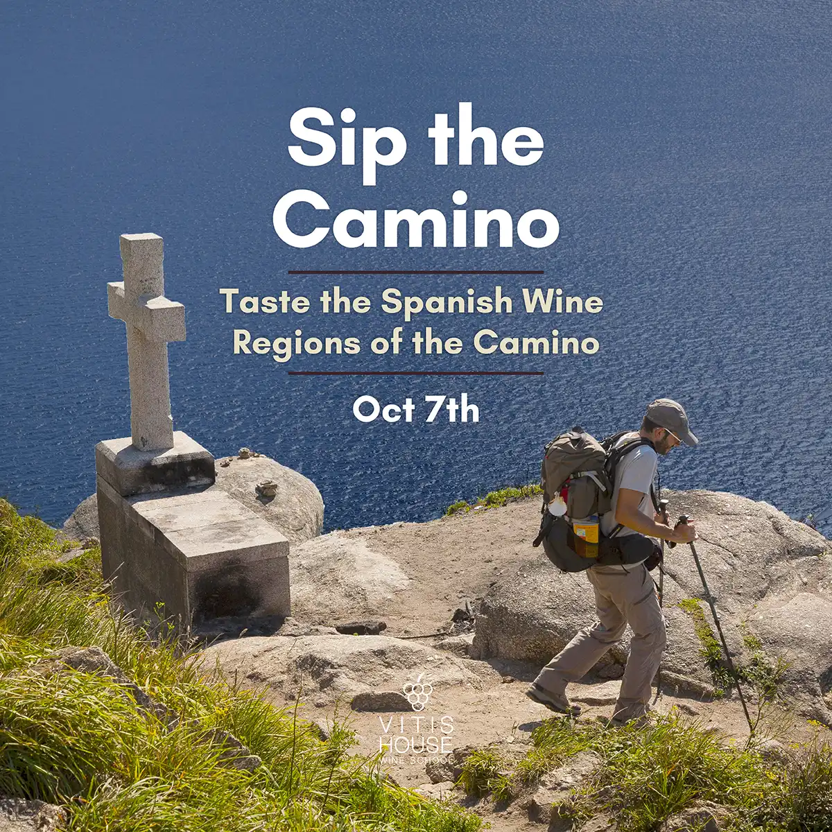 vitis house sip the camino