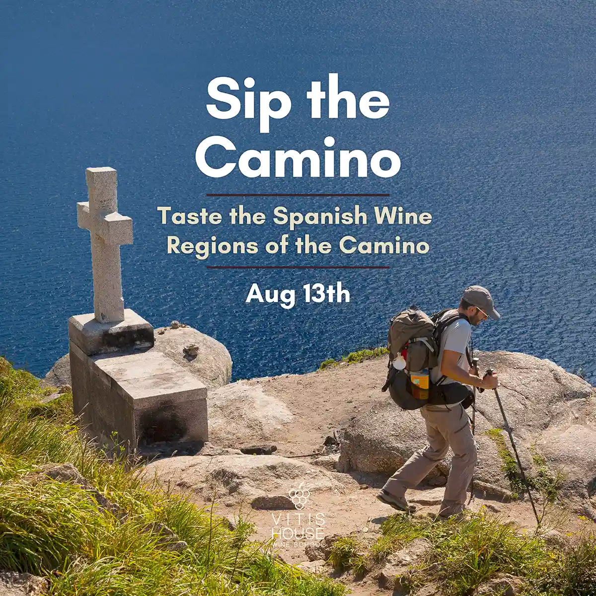 vitis house sip the camino
