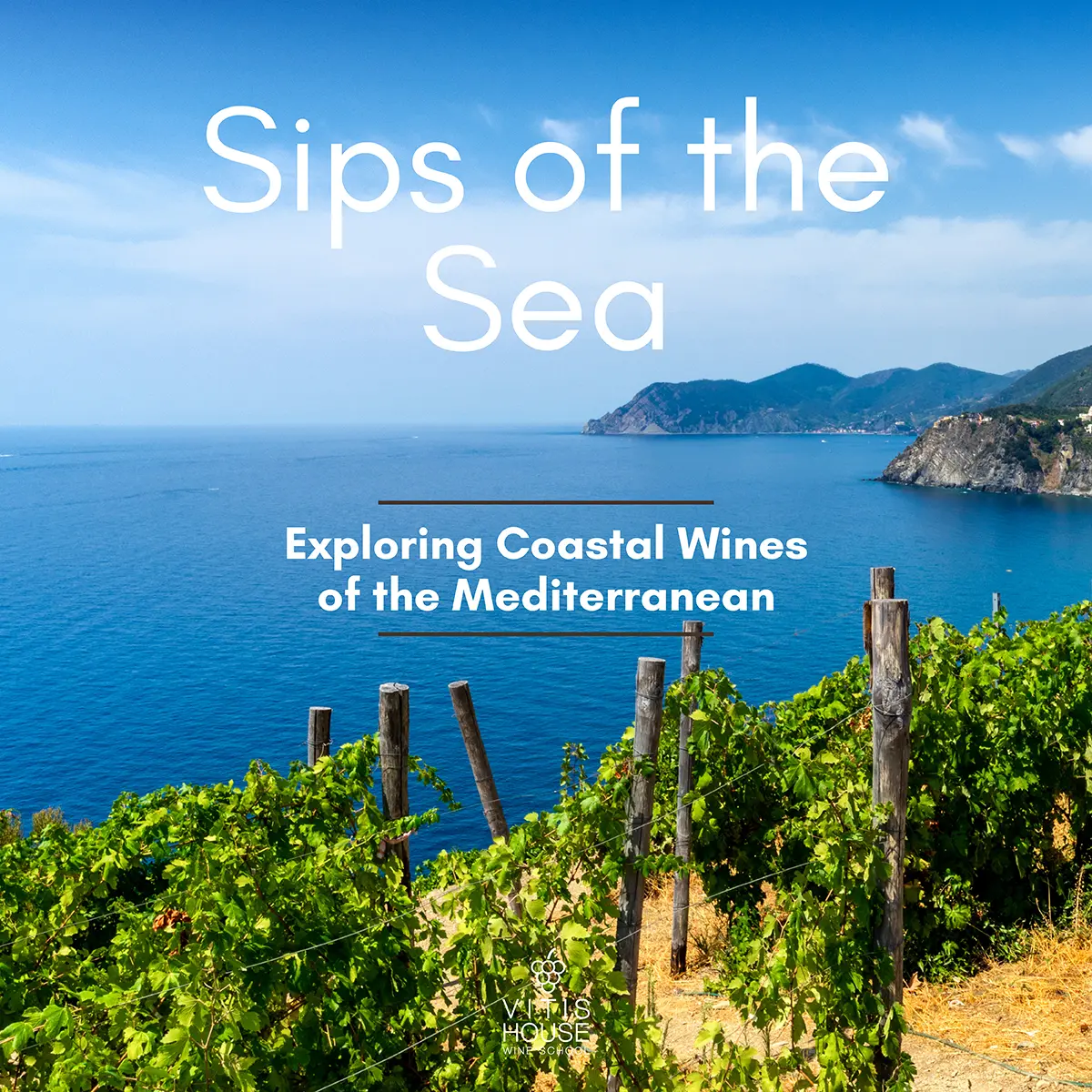 vitis house sips of the sea