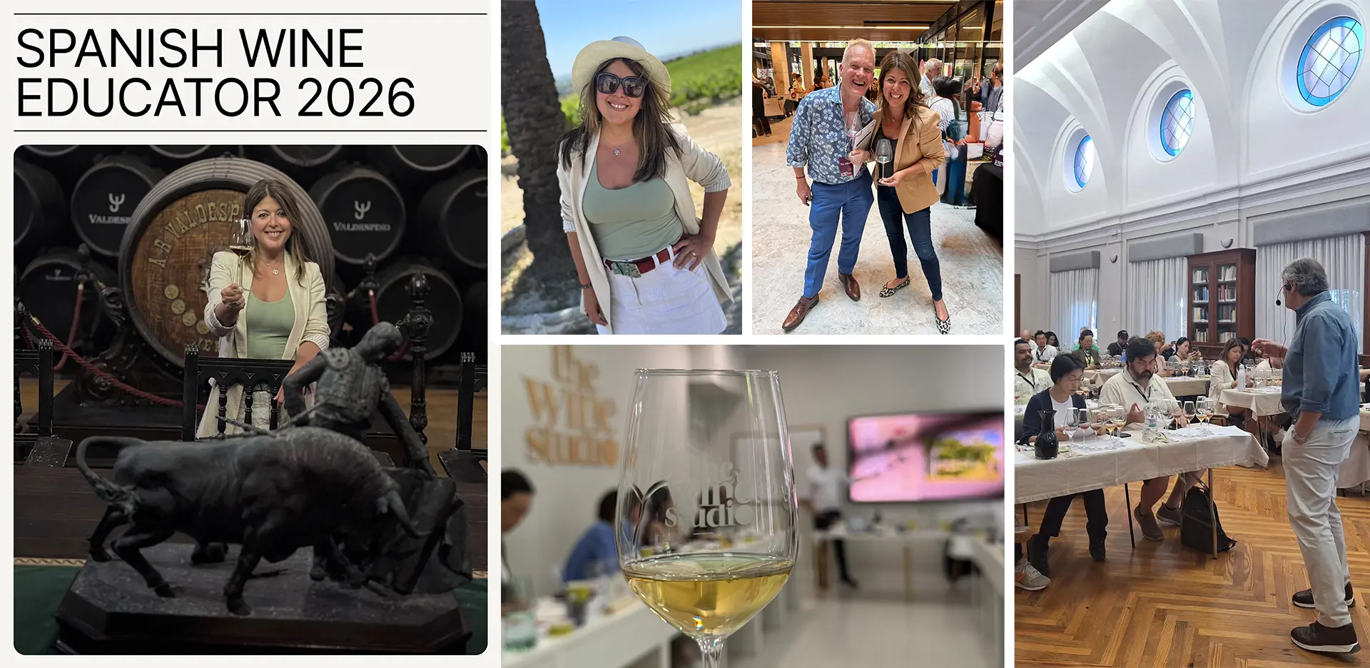 vitis house spanish wine educator
