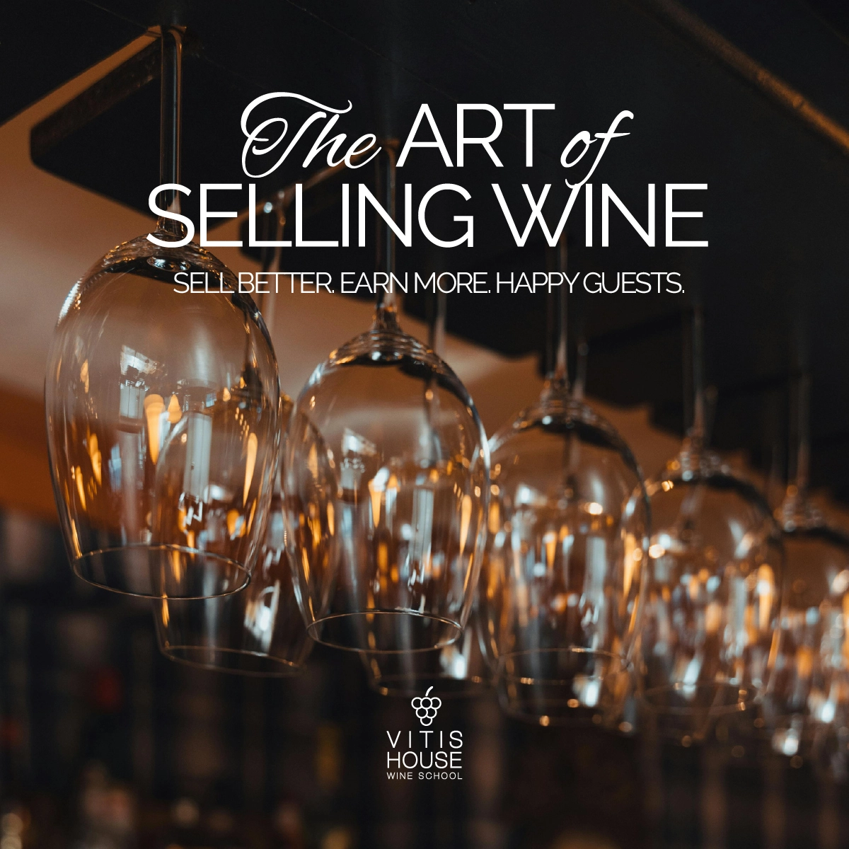 vitis house the art of selling wines